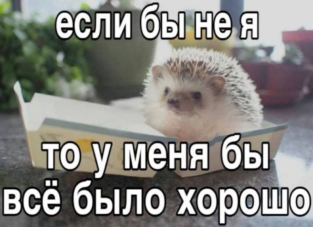 ибы He если He TO у меня бы, все было