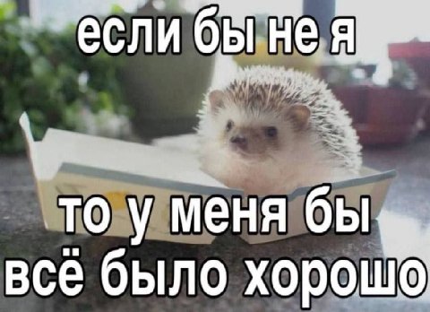 ибы He если He TO у меня бы, все было
