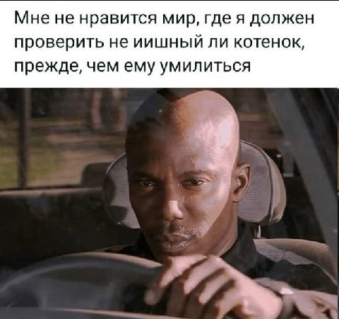 Мне не нравится мир, где я должен проверить не иишный ли котенок, прежде, чем ему умилиться