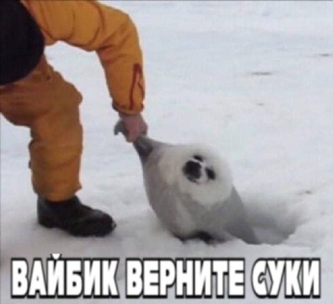 ВЕРНИТЕ