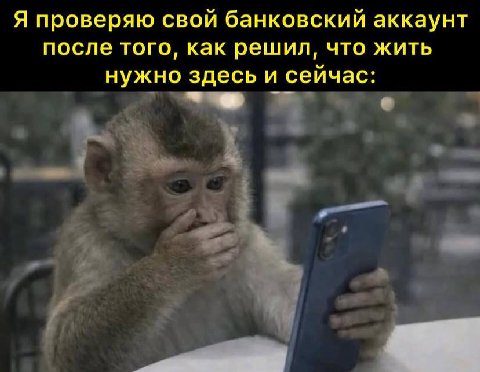 Я проверяю свой банковский аккаунт после того, как решил, что жить нужно здесь и сейчас: