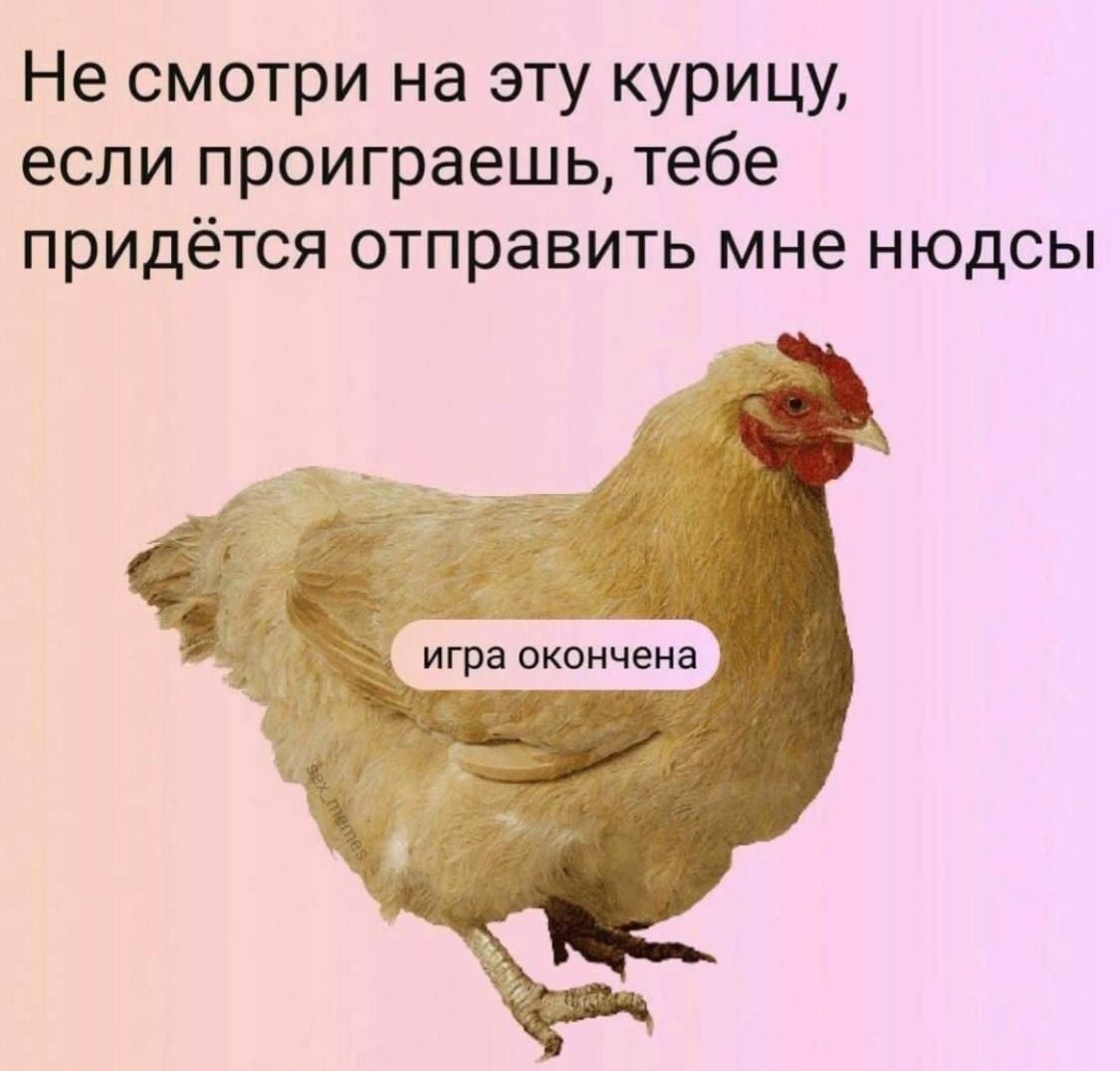 Не смотри на эту курицу, если проиграешь, тебе придётся отправить мне нюдсы гра окончена