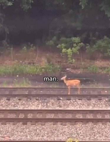 man. 1+ ~4