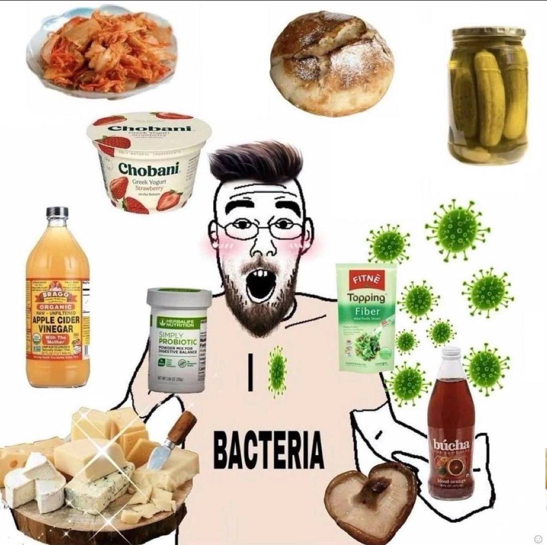 Chobani CIDER’ 1 BACTERIA