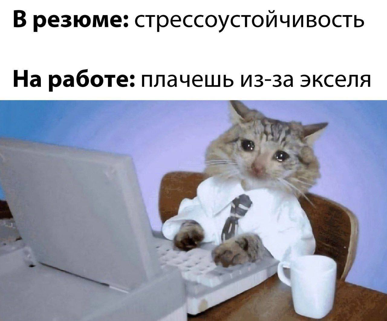 В резюме: стрессоустойчивость На работе: плачешь из-за экселя