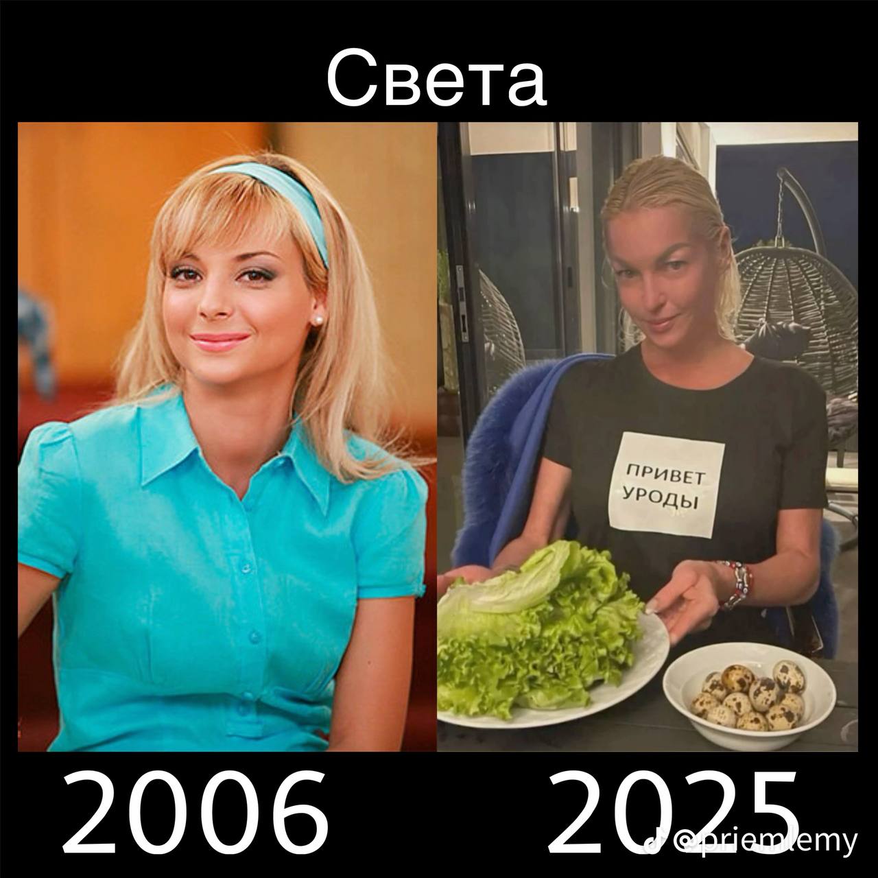 Света я ИВЕ 2006 2025.