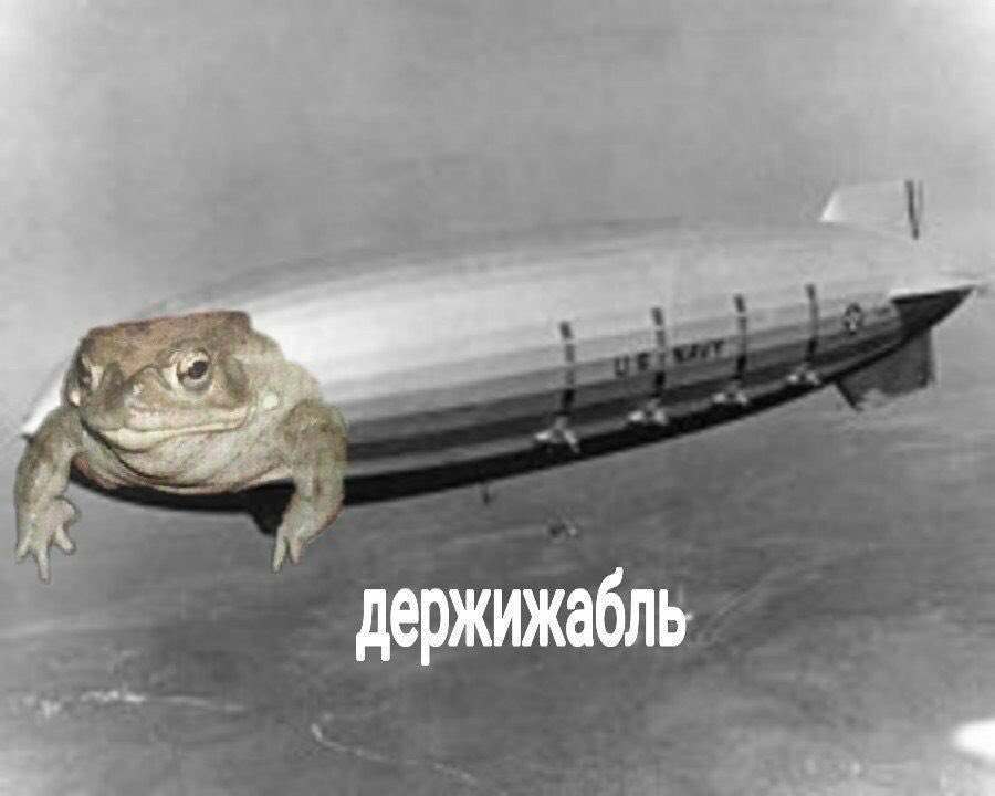 держижабль