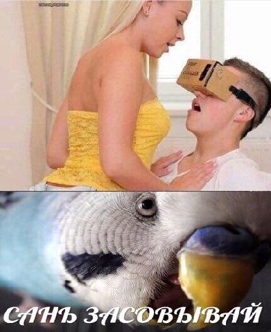 у СТНЪ засовывий