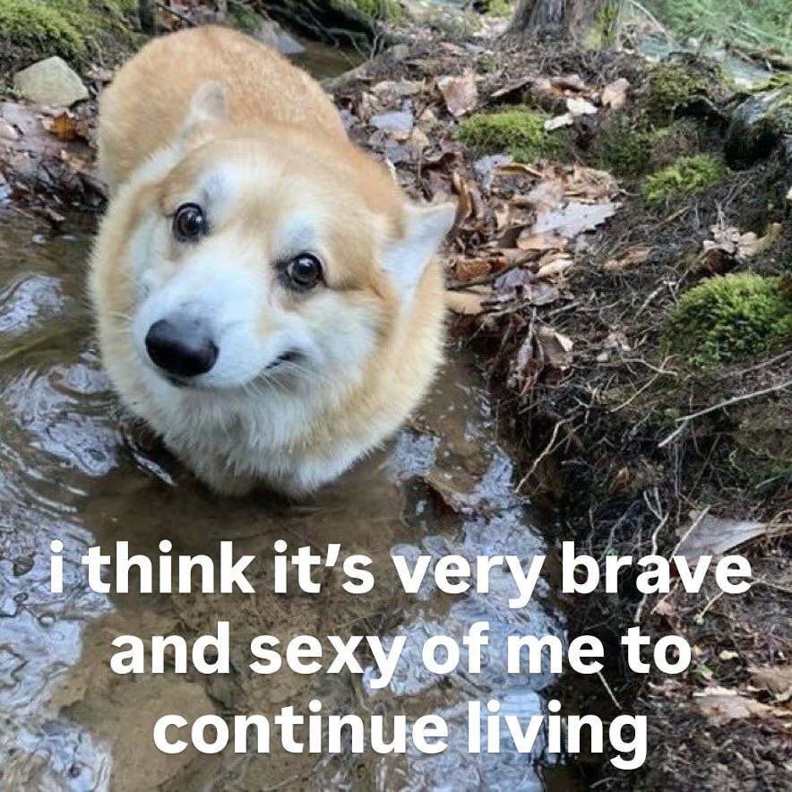 i think it’s very brave апа sexy of me continue living