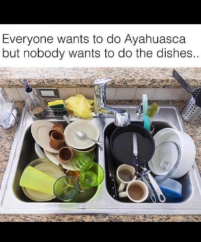 Everyone wants to Ayahuasca but nobody wants to the dishes.. 3% 4