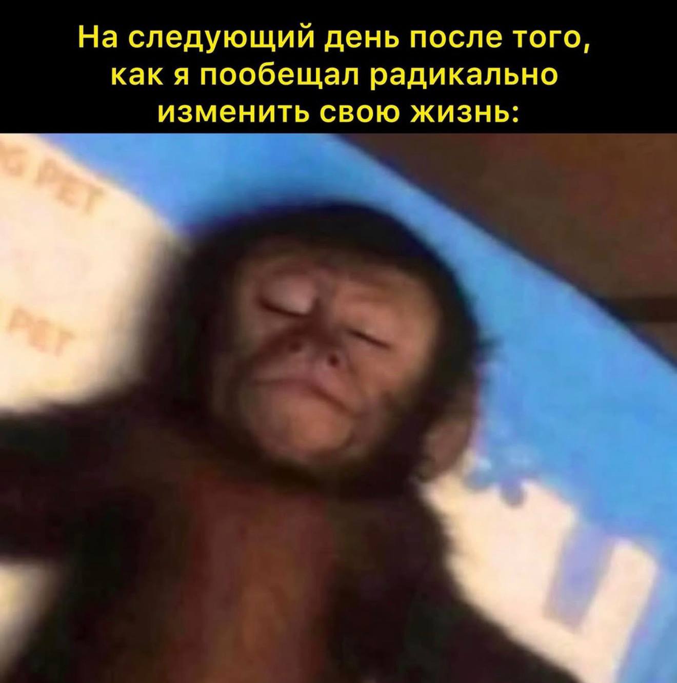 На следующий день после того, как я пообещал радикально изменить свою жизнь: