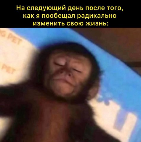 На следующий день после того, как я пообещал радикально изменить свою жизнь: