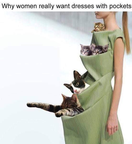 Why women really want dresses with pockets 7
