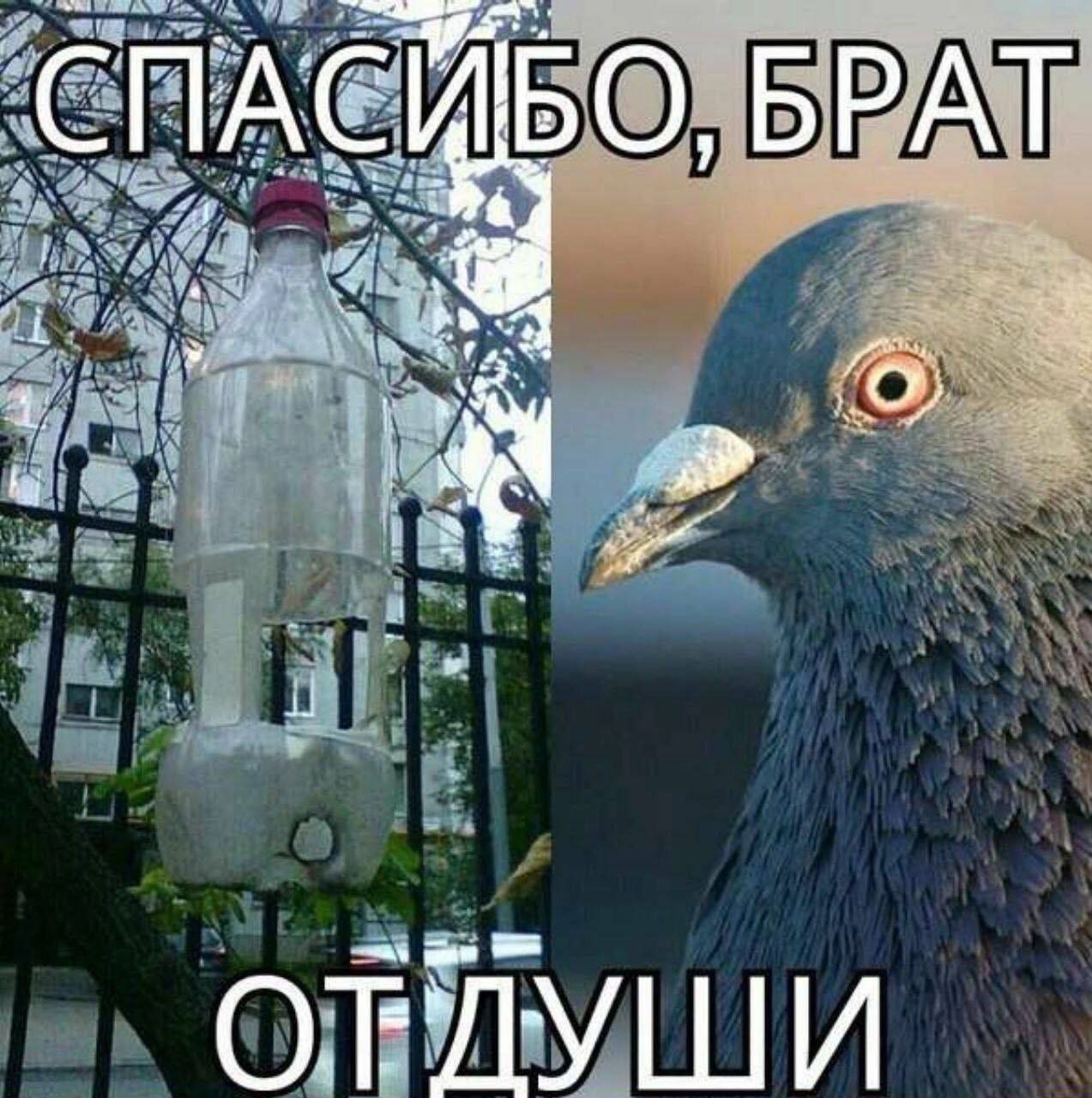 СПАСИБО, БРАТ 16 i a ОРЛУШИ