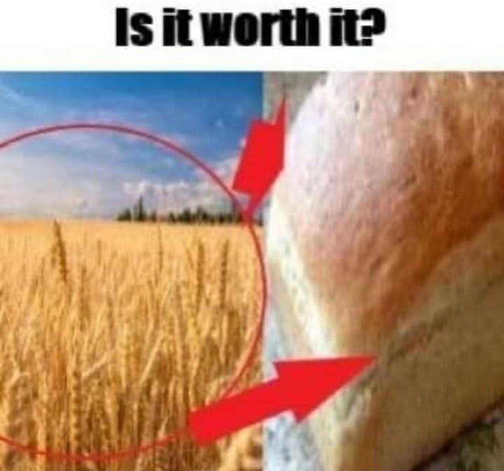 Is it worth it?