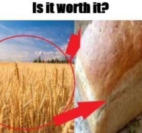 Is it worth it?