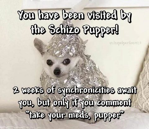 у oN omment рирре