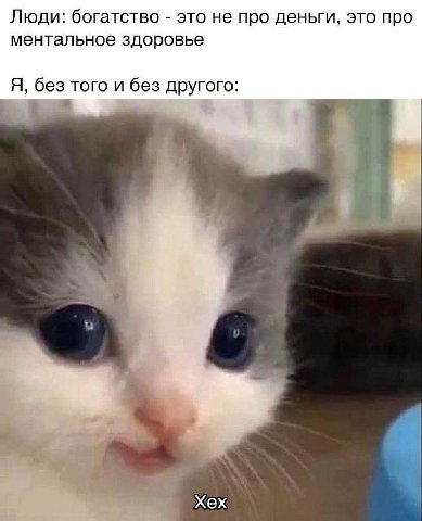 Люди: богатство это не про деньги, это про ментальное здоровье Я, без того и без другого: у A Хех