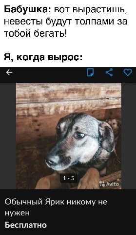 Бабушка: вот вырастишь, невесты будут толпами за тобой бегать! Я, когда вырос: Avito Обычный Ярик никому не нужен Бесплатно