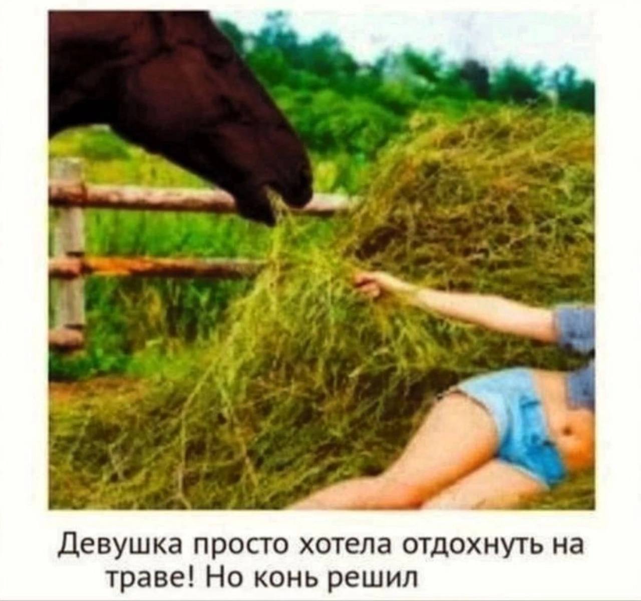 Ваши варианты че конь то решил в коментЫыы