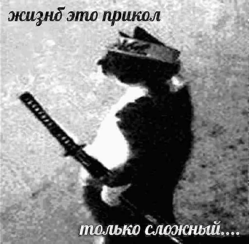 жизнд это прикол 4