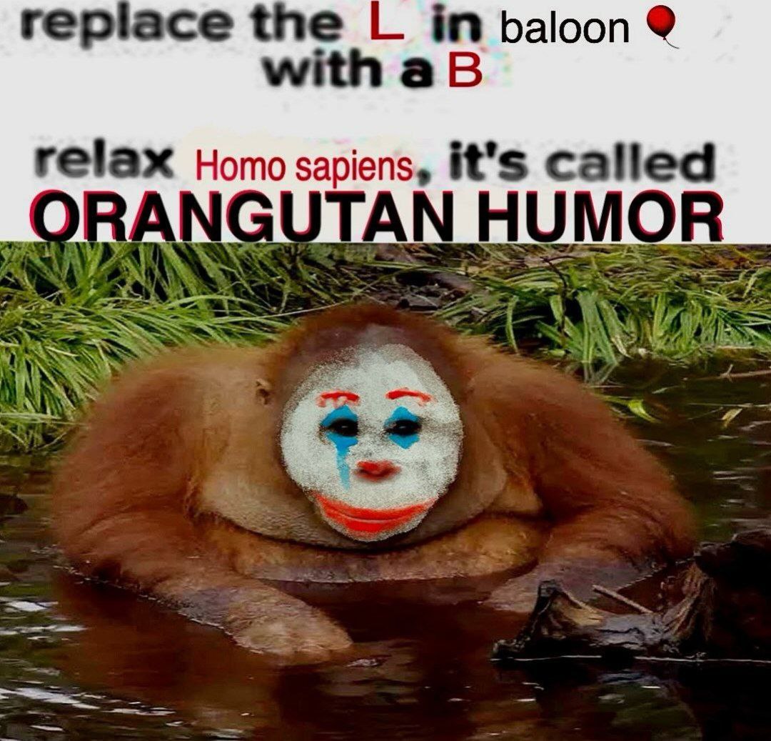 replace the in baloon with relax Homo sapiens, it’s called ORANGUTAN HUMOR a