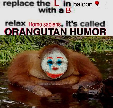 replace the in baloon with relax Homo sapiens, it’s called ORANGUTAN HUMOR a