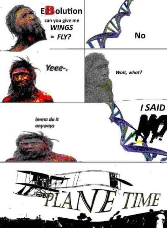 can уси give WINGS FLY? No Угее-, SAID it anyways