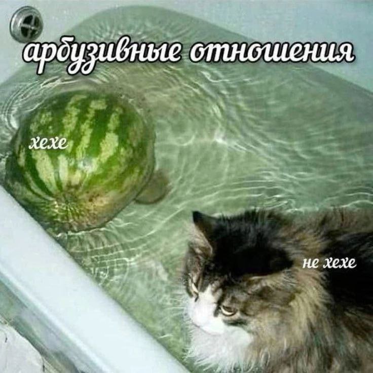 ардузибные отношения хехе, не хехе
