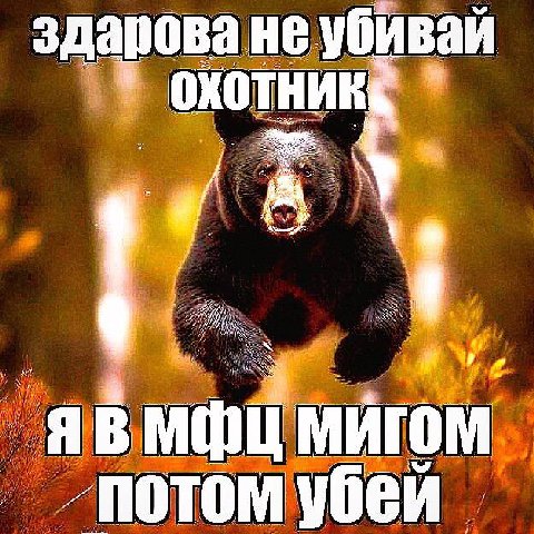 здарова не убивай охотник, Я МИГОМ „потом