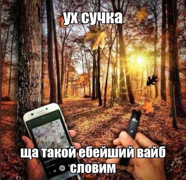 ДРУЗЬЯ КТО
