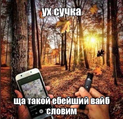 ДРУЗЬЯ КТО