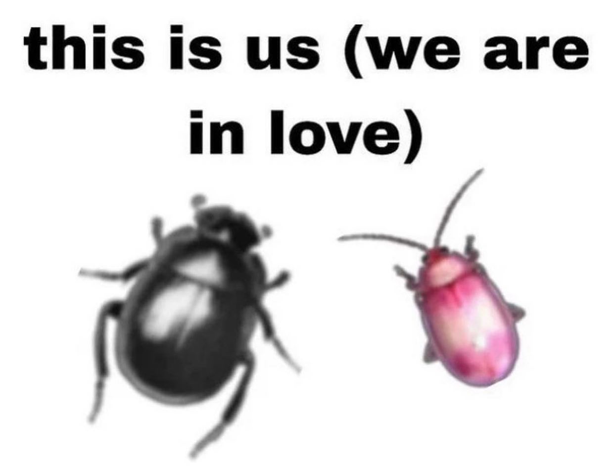 this is (we are in love)