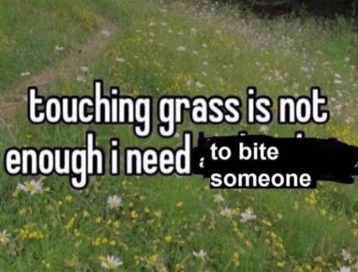 touching grass is not bite enough need someone