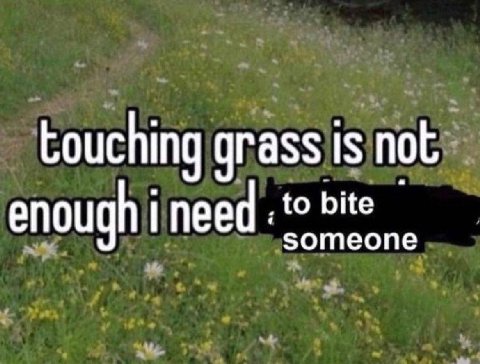 touching grass is not bite enough need someone