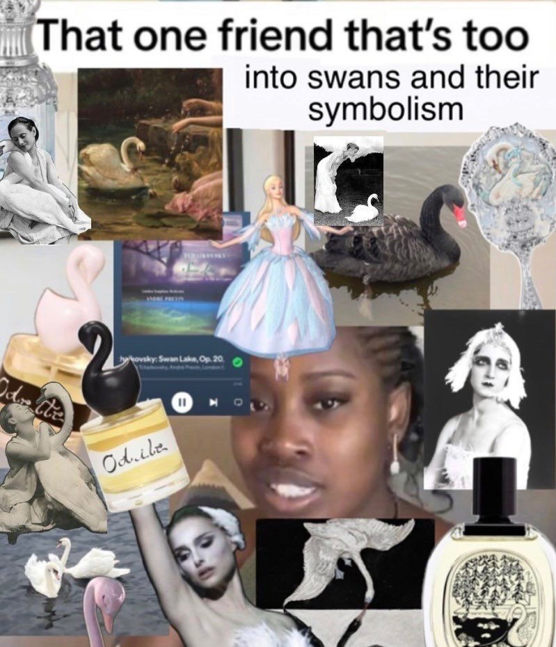 one friend that’s too into swans and their symbolism A 2 Swan Lake, 20 О 1 0 pil?