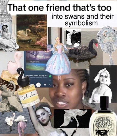 one friend that’s too into swans and their symbolism A 2 Swan Lake, 20 О 1 0 pil?