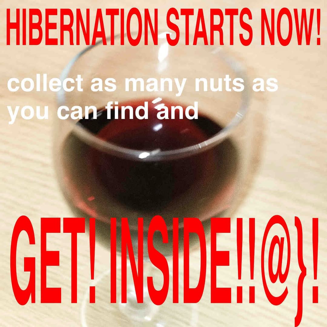 HIBERNATION STARTS NOW!