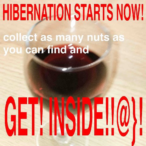 HIBERNATION STARTS NOW!