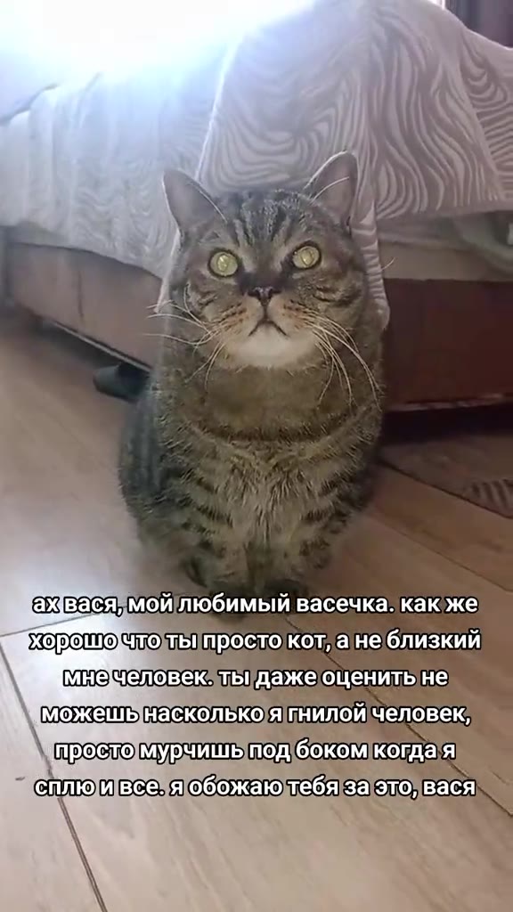 вася мой IOOUMbIN|BaceukKa. какже Убхорошо тот NPOCTO)KOT, a) He близкий ШИмнечеловекотыдажеоценить не можешынасколько}я| пнилойчеловек, простомурчишьпод'бокомкогдая сплю ивсе\яобожаюдтебя за это вася