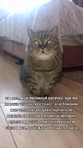 вася мой IOOUMbIN|BaceukKa. какже Убхорошо тот NPOCTO)KOT, a) He близкий ШИмнечеловекотыдажеоценить не можешынасколько}я| пнилойчеловек, простомурчишьпод'бокомкогдая сплю ивсе\яобожаюдтебя за это вася