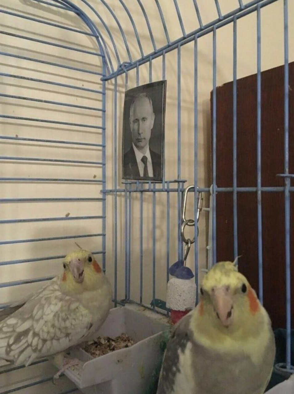 bis