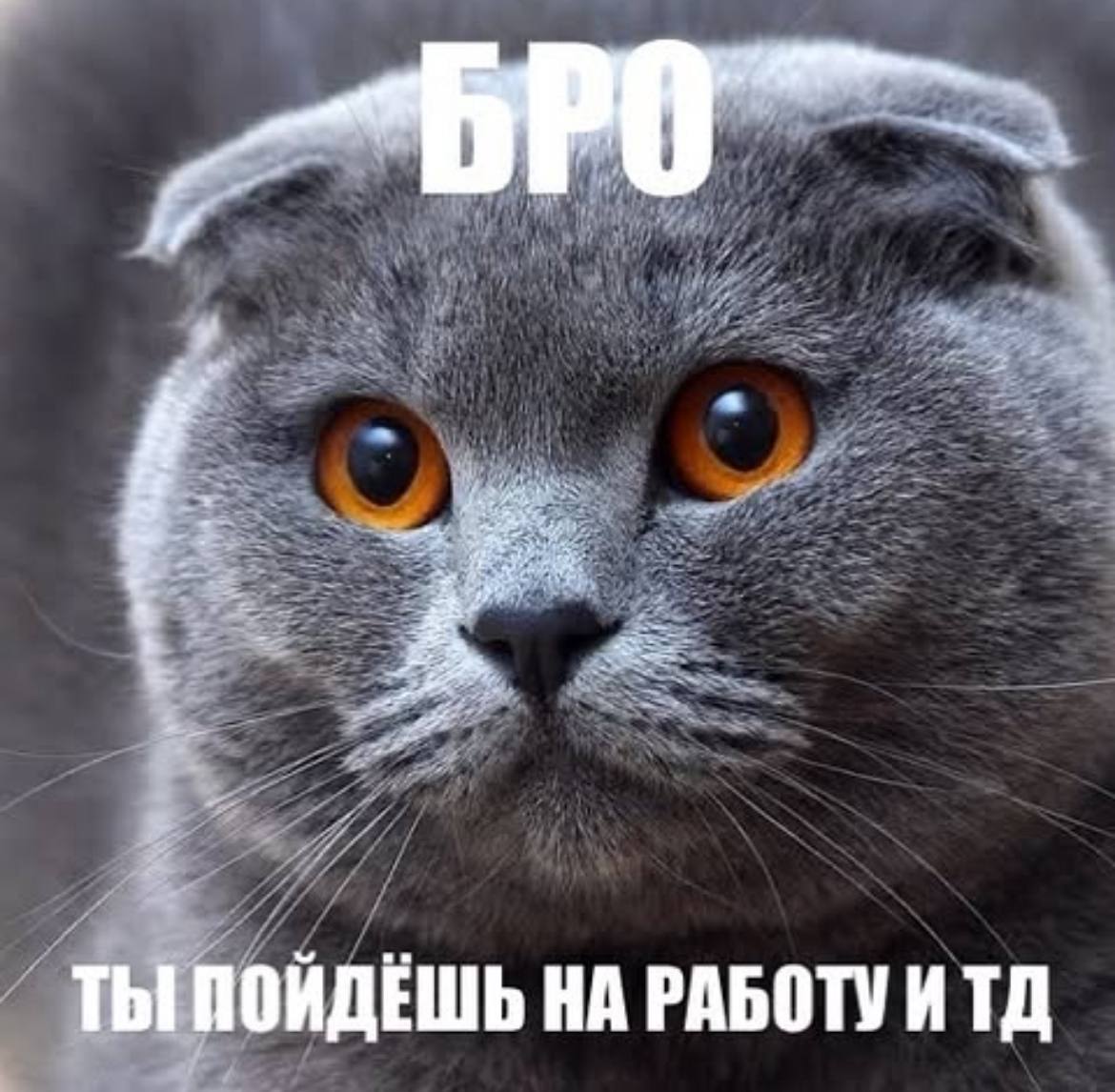 ОЙДЕШЬ НА РАБОТУ ИТД