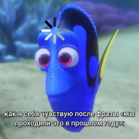 как я себя чувствую после фразы «мы проходили это в прошлом году»: