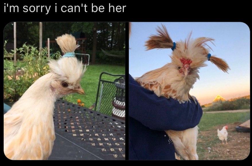 but my mom can..