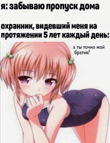 я: забываю пропуск дома охранник, видевший меня на протяжении каждый день: а ты точно мой if у
