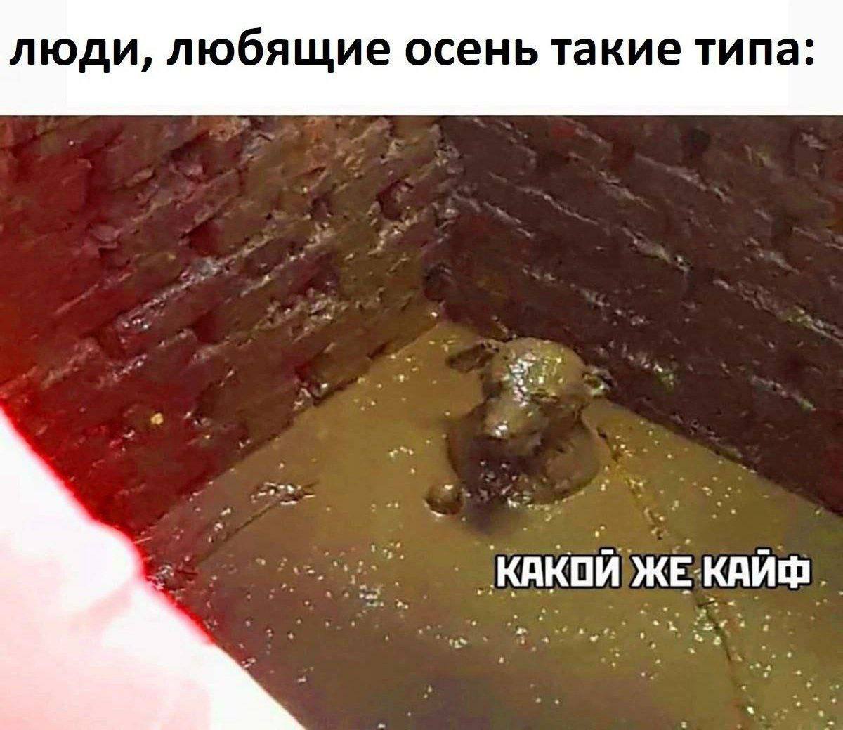 люди, любящие осень такие типа: КАКОЙ