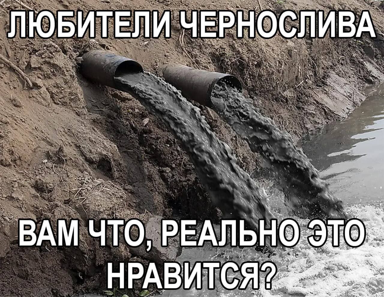 ЛЮБИТЕЛИ ЧЕРНОСЛИВА ВАМ что, РЕАЛЬНО.