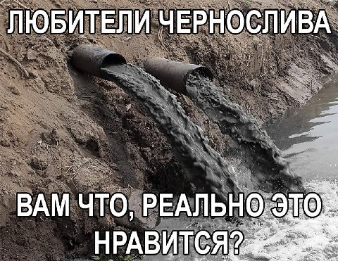 ЛЮБИТЕЛИ ЧЕРНОСЛИВА ВАМ что, РЕАЛЬНО.
