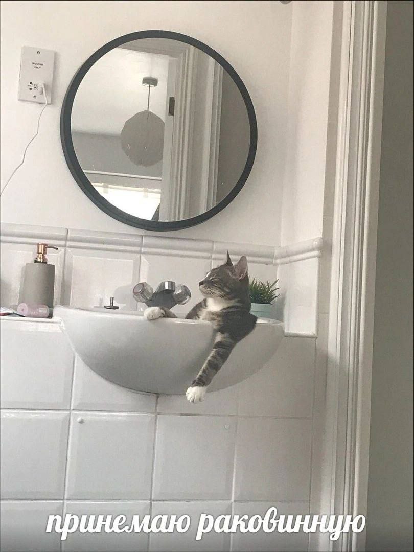 it he 1% 4 принемаю